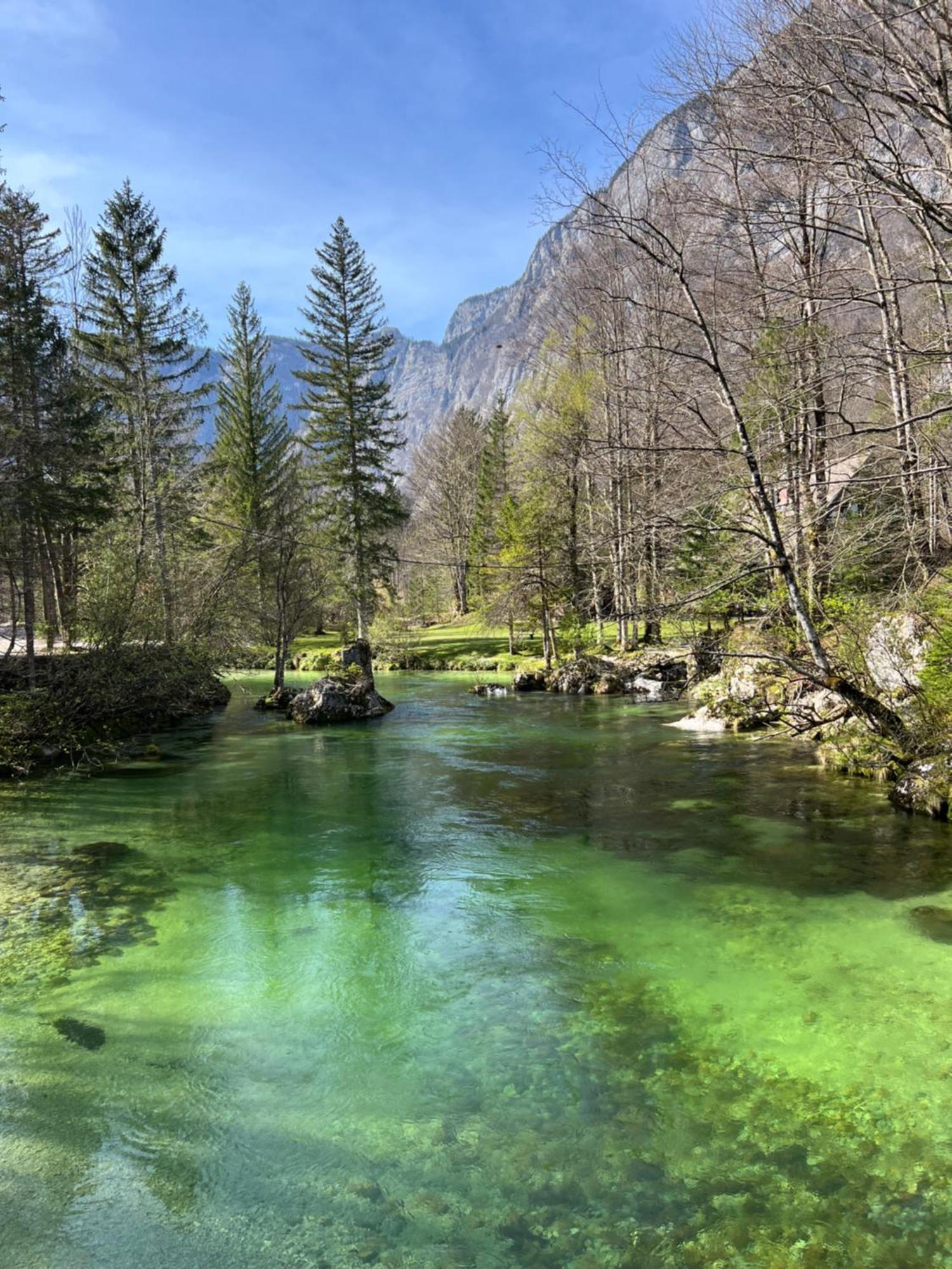 Alice Chalet Bled - Adults Only Екстериор снимка